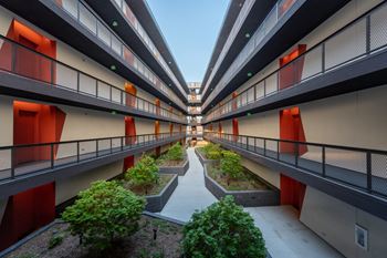 Courtyard garden with lush plantings throughout